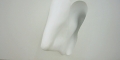 019-foto19
