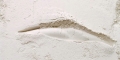 012-CRW_0250t