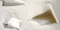 017-DSC00637t