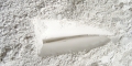 020-DSC00564t
