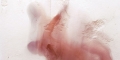 015-CRW_0201