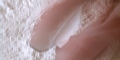 044-IMG_0174