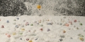004__0AP2550_site