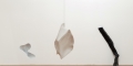 007__0AP8961_site