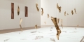 016__0AP9002_site
