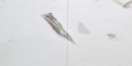 021__0AP8995_site