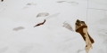 022__0AP8996_site