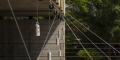 027_MG_0981_site