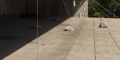029_MG_0960_site