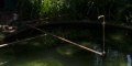 015-_0AP1164-copy-72-dpi