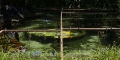 019-_0AP0594-copy-72-dpi