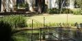 020-_0AP1114-copy-72-dpi