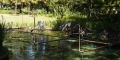 022-_0AP0584-copy-72-dpi