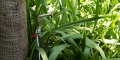 026-_0AP1177-copy-72-dpi