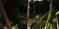 028-_0AP1103-copy-72-dpi