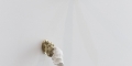 009-IFF_M-rcia-Pastore_Exposi‡AEo_2025-12-12_foto-Maur¡cio-Froldi-22-site