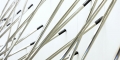 009-_MG_7836t-site